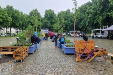 Bürgermeister-Ehlers-Platz mit neuen Hochbeeten, die beim Frühlingsfest neu bepflanzt werden