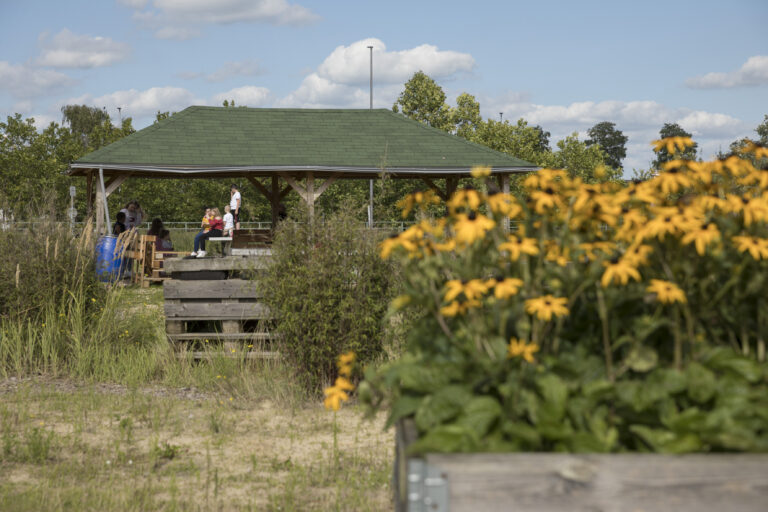 Unter einem offenen Unterstand auf einer Wiese sitzen junge Menschen. In einem Hochbeet blühen große gelbe Blumen