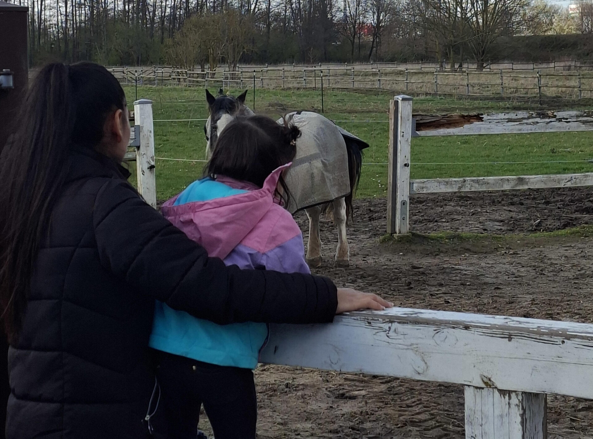 Frau und Kind stehen an einem Holzzaun und schauen zu einem Pferd hinüber.