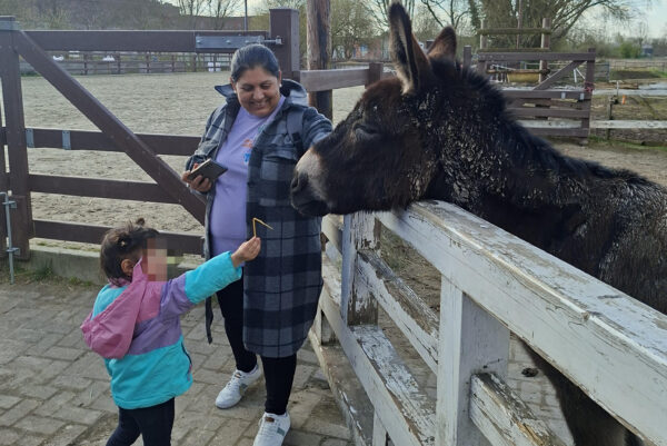 Ein brauner Esel hat seinen Kopf über den weißen Holzzaun gelegt. Eine Frau steht daneben und lacht. Ein Kind hält einen Strohhalm zum Esel rüber.