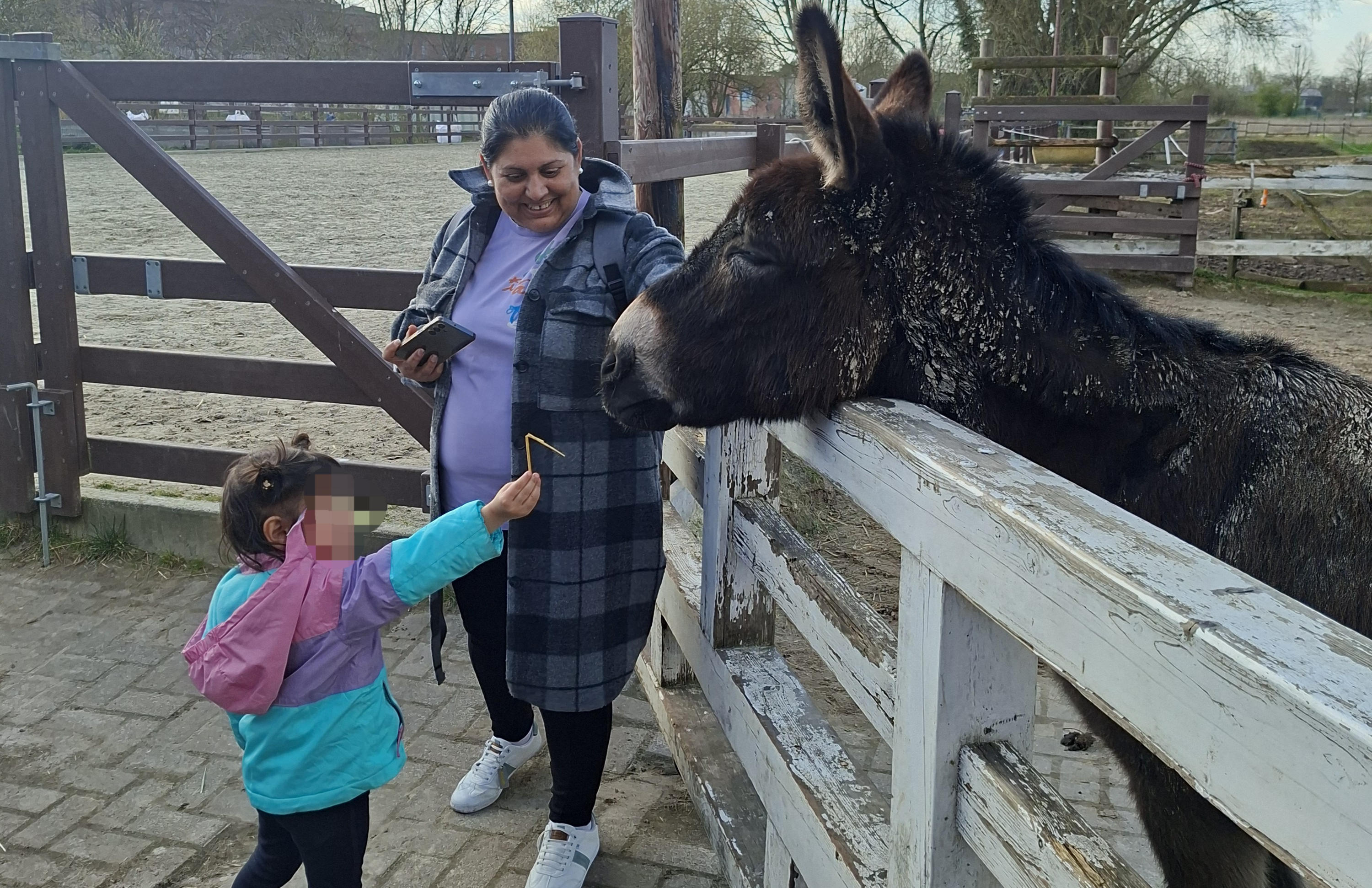 Ein brauner Esel hat seinen Kopf über den weißen Holzzaun gelegt. Eine Frau steht daneben und lacht. Ein Kind hält einen Strohhalm zum Esel rüber.