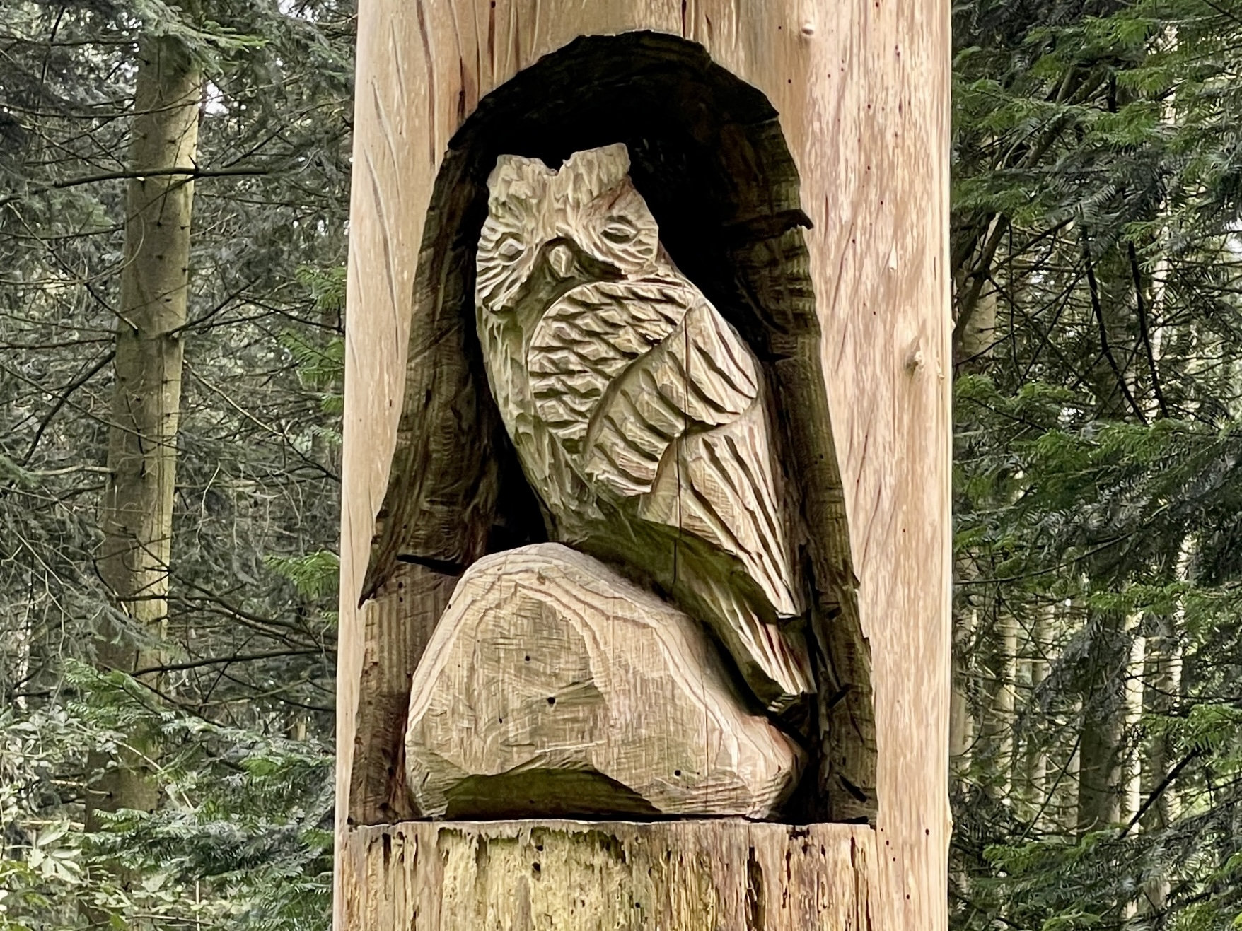 Ein in einen Holzstamm geschnitzer Uhu schaut einen direkt an. Im Hintergrund sind Bäume zu sehen.