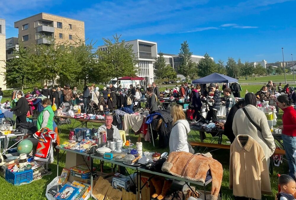 Auf einer grünen Wiese befinden sich viele Flohmarktstände. Dazwischen bewegen sich Menschen. Im Hintergrund ist ein Hochhaus zu sehen.