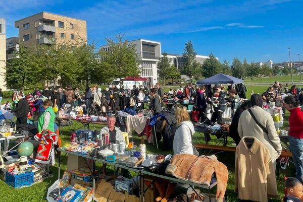 Auf einer grünen Wiese befinden sich viele Flohmarktstände. Dazwischen bewegen sich Menschen. Im Hintergrund ist ein Hochhaus zu sehen.