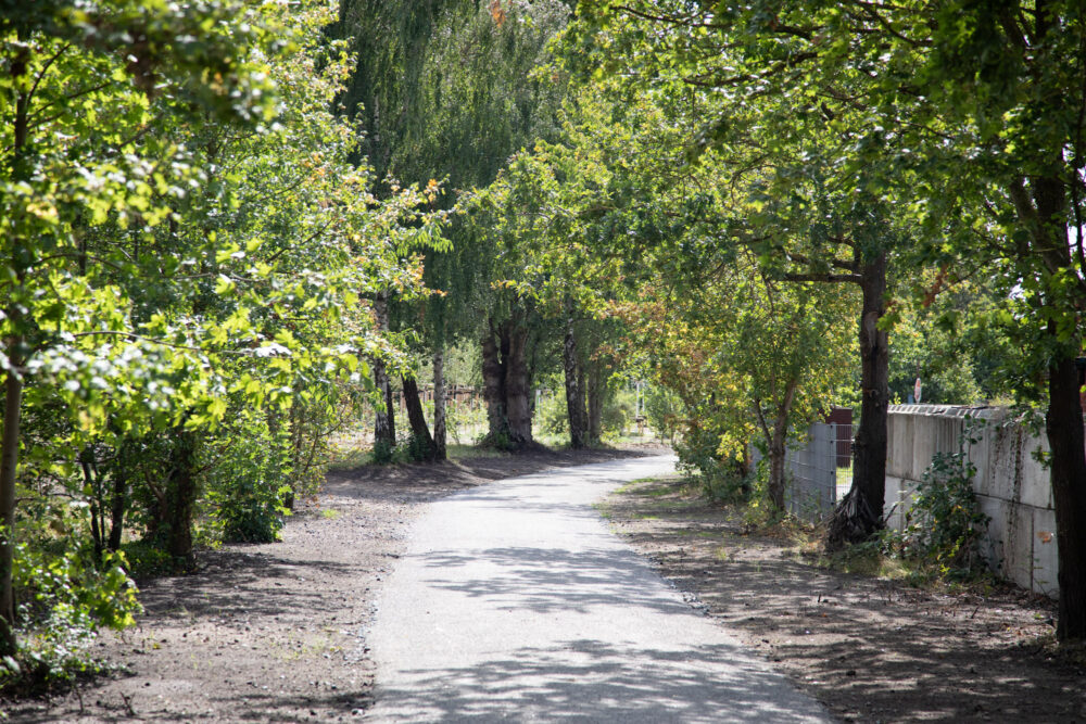 Eine Parkanlage mit Weg