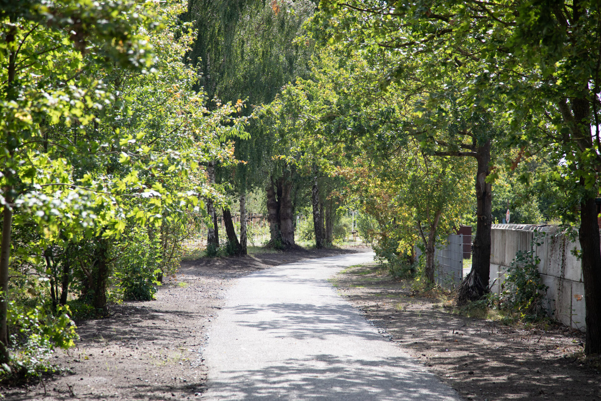 Eine Parkanlage mit Weg