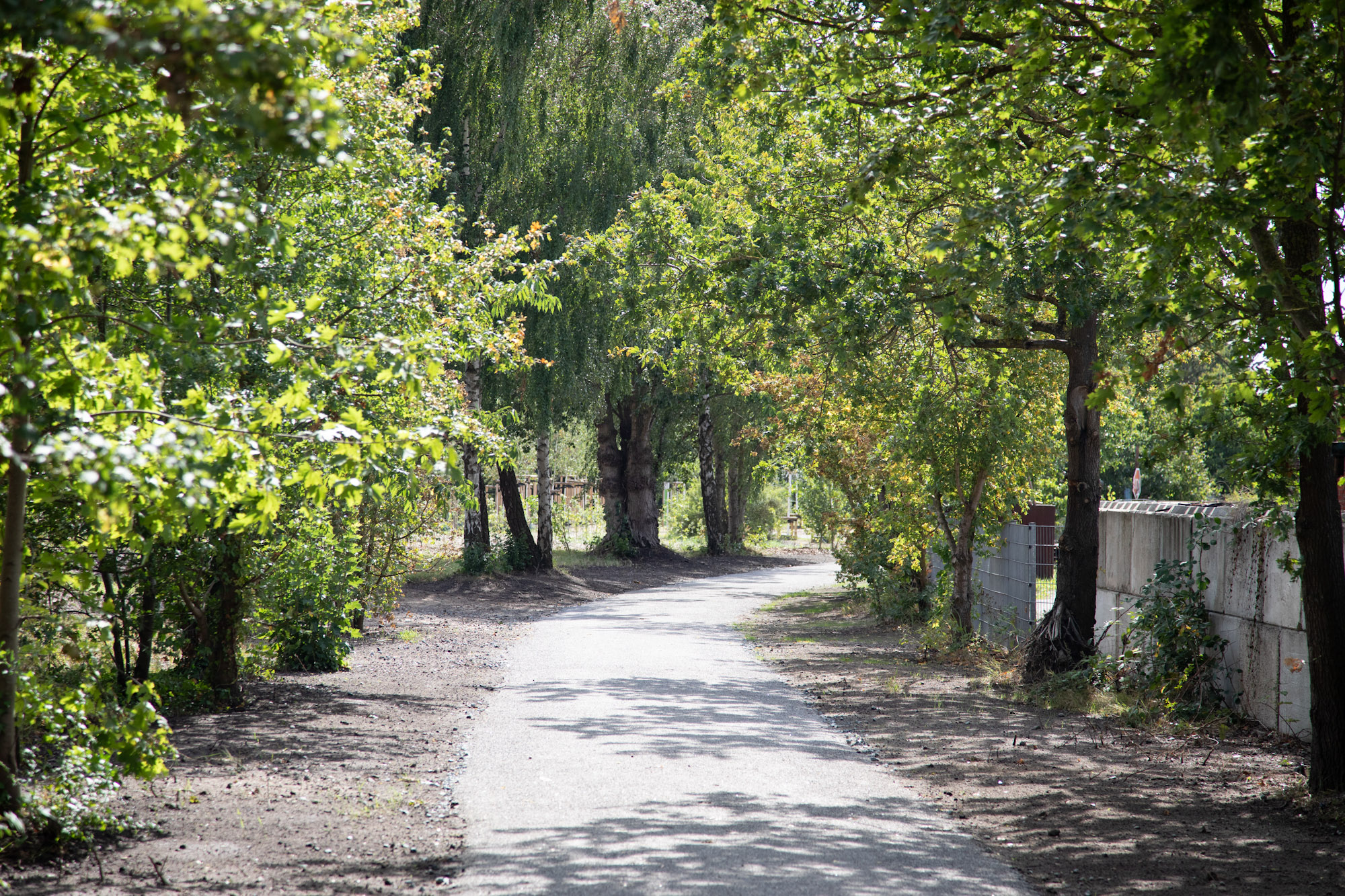 Eine Parkanlage mit Weg