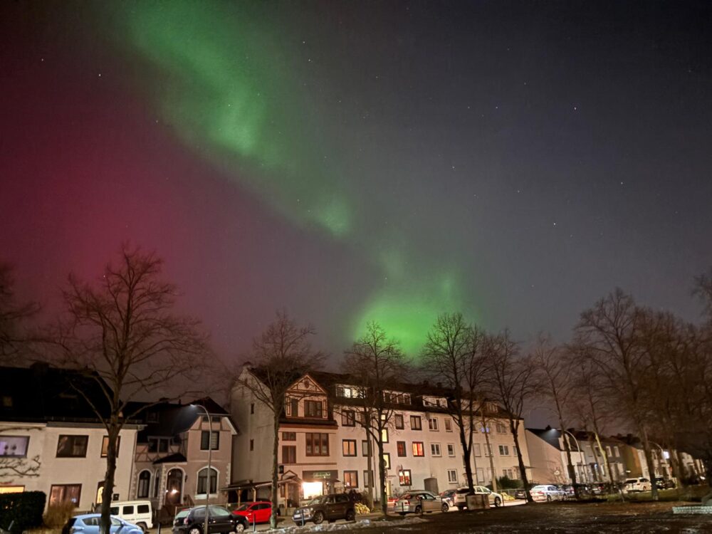 Vor einem Nachhimmel mit Bäumen sind Polarlichter zu sehen.