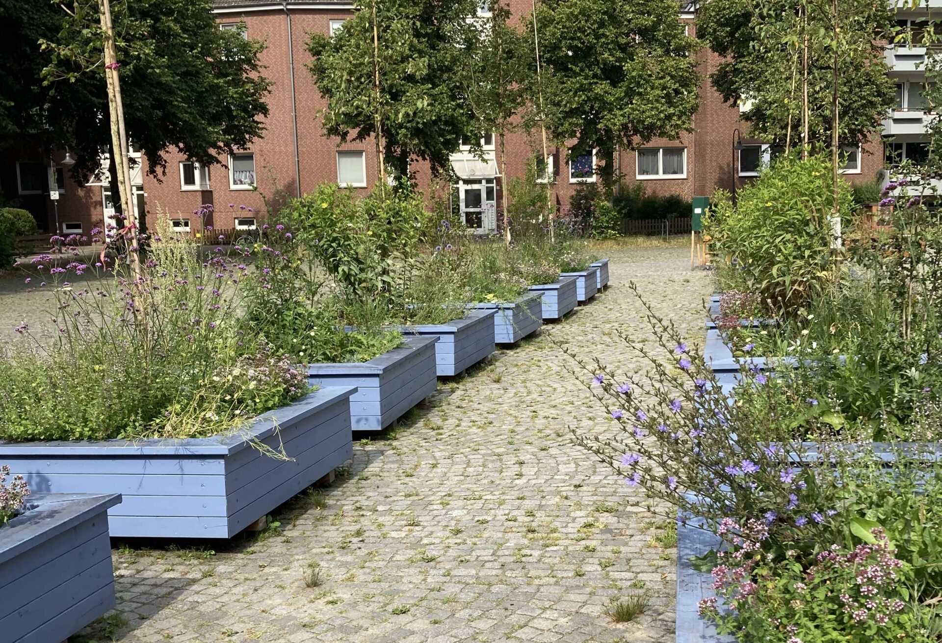 Auf einem gepflasterten Platz stehen 16 blaue Hochbeete. Sie sind mit Stauden und Bäumen bepflanzt.