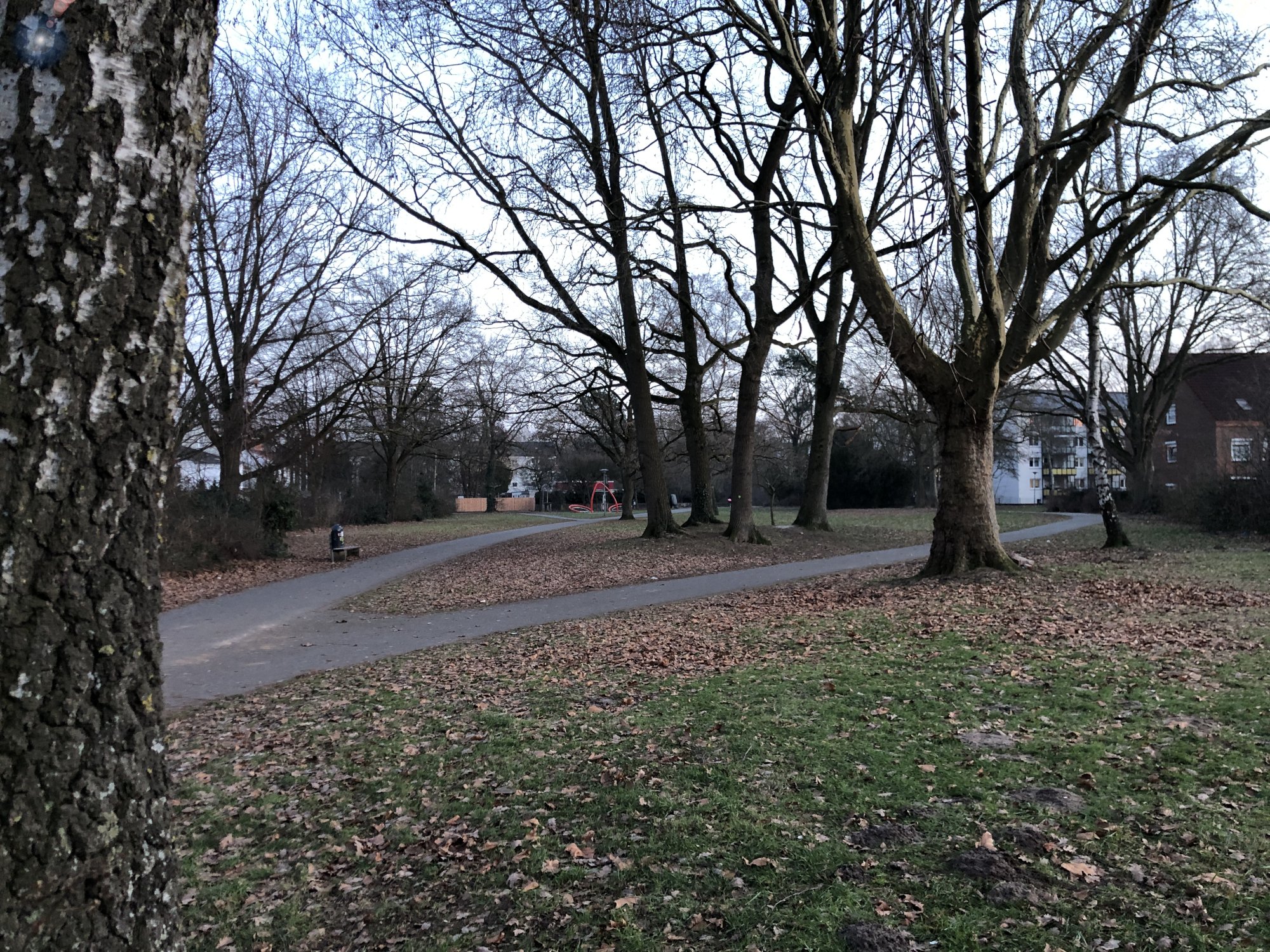 Eine Grünanlage mit Fuß-und Radweg und mit vielen Bäumen.